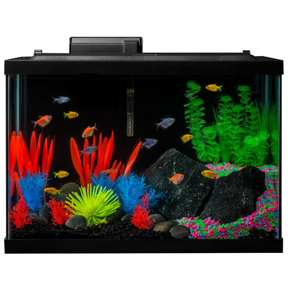 20 Gallon Complete Fish Tank Kit