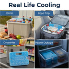 Blue Ice Large Ice Packs for Coolers, 4 Pack, Reusable