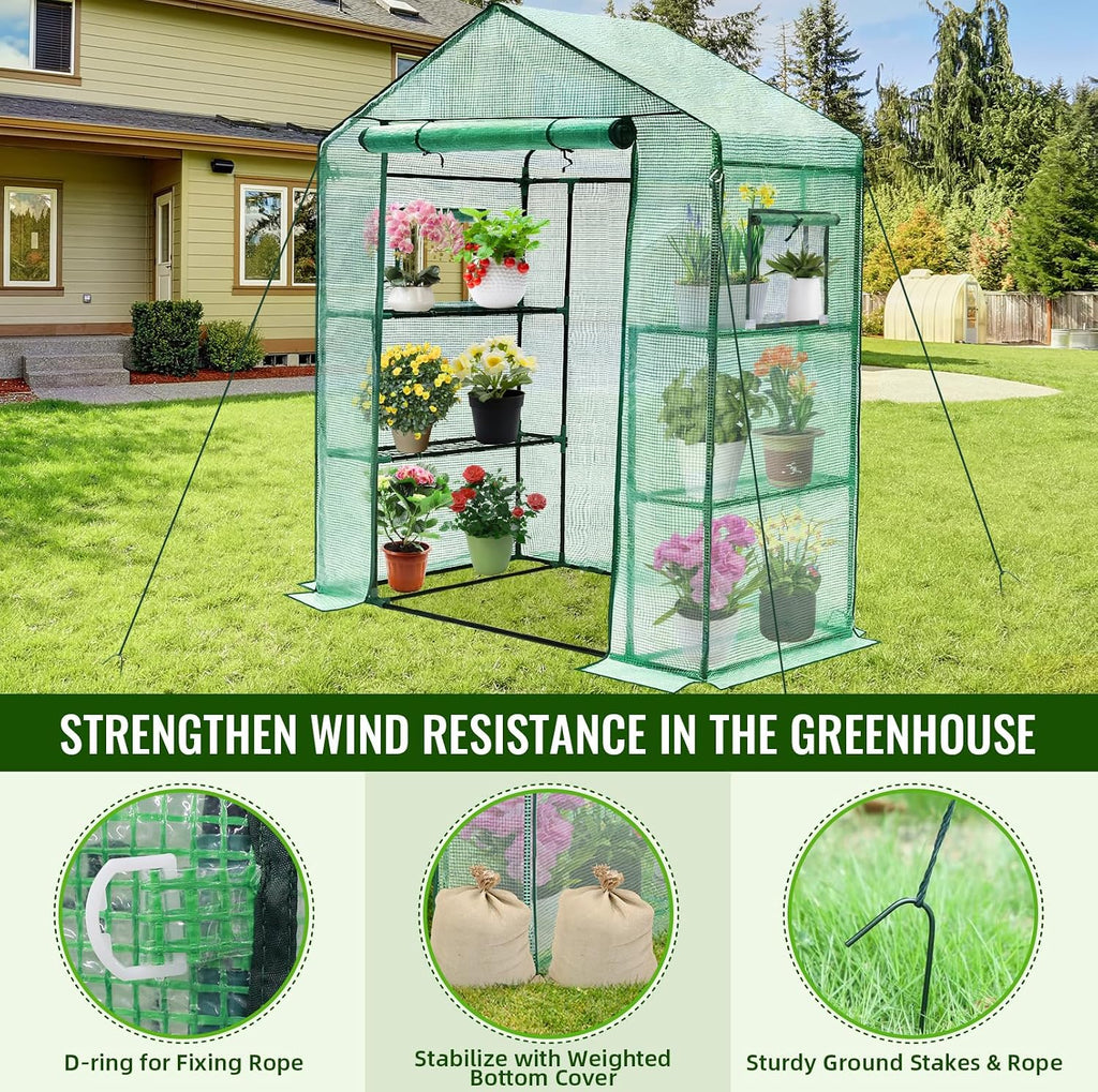 Greenhouse, 28 x 57 x 76'' Walk in Greenhouses for Outdoors Indoor | Small Plant Green House with Screen Windows, 3