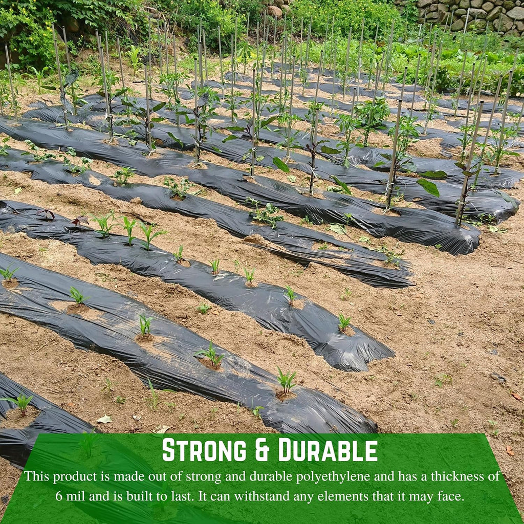 Weed Control 6 Mil Black Plastic Sheeting - Heavy Duty Weed Barrier Landscape Fabric for Outdoor Gardens, Non Woven
