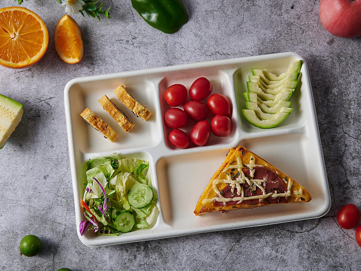 Compostable 5 Compartment Paper Plates, 100 Pack, 12.5 x 8.6 inch