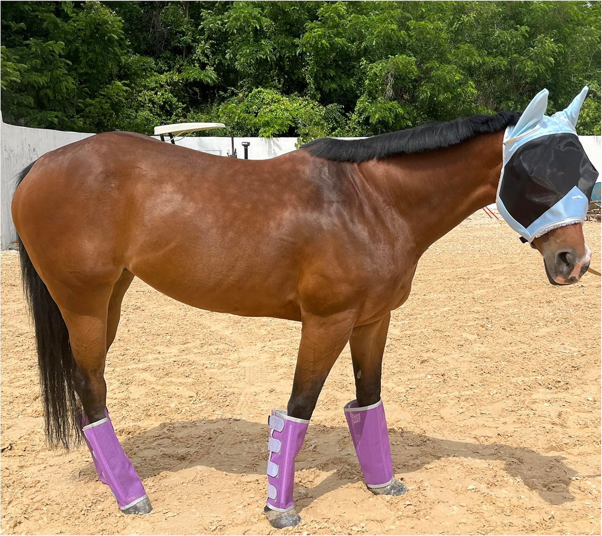 Horse Fly Boots, Loose-Fitting Fly Leggings for Turnout, 4 Pack