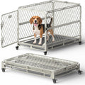 36 Inch Collapsible Dog Crate for Small Dogs, Foldable Metal Dog Kennel with Reinforced Diamond Wire Mesh, Escape