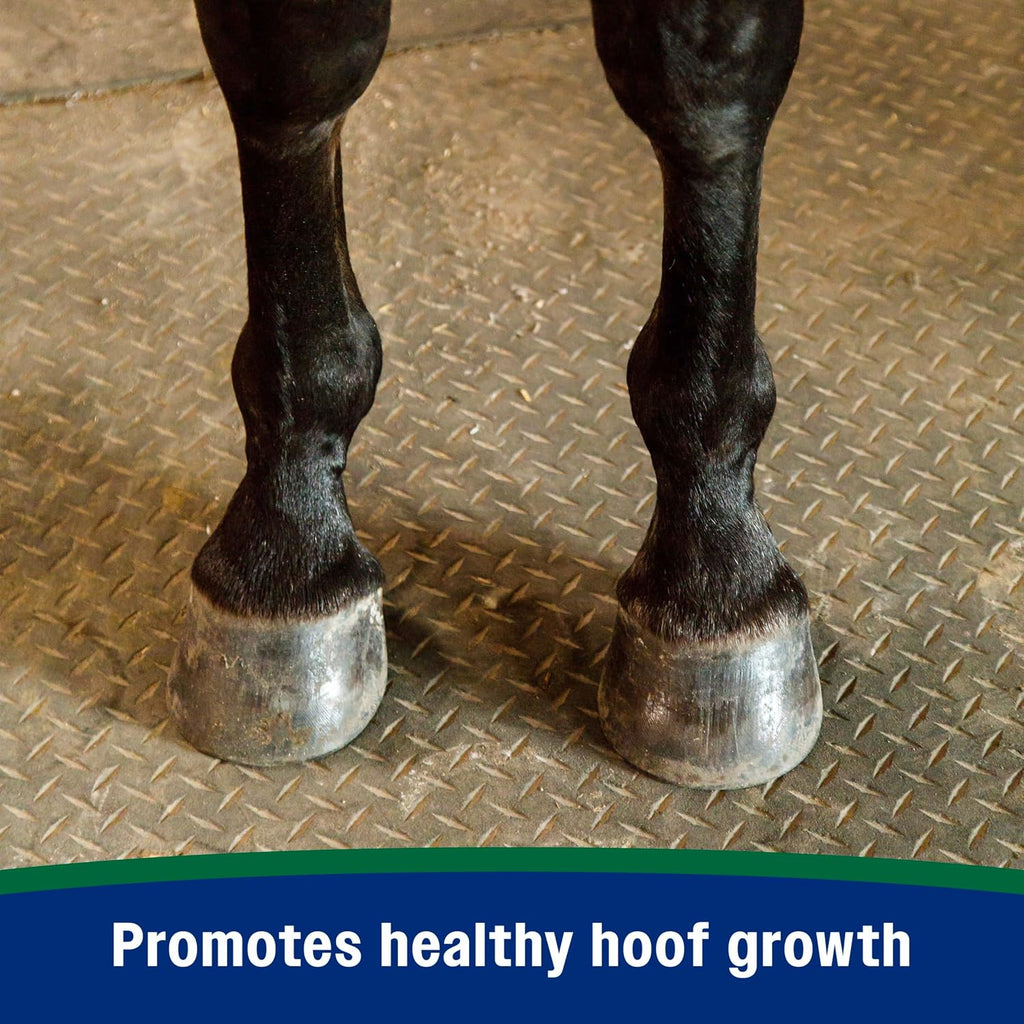 Horseshoer's Secret Pelleted Hoof & Biotin Supplements, 11 lb