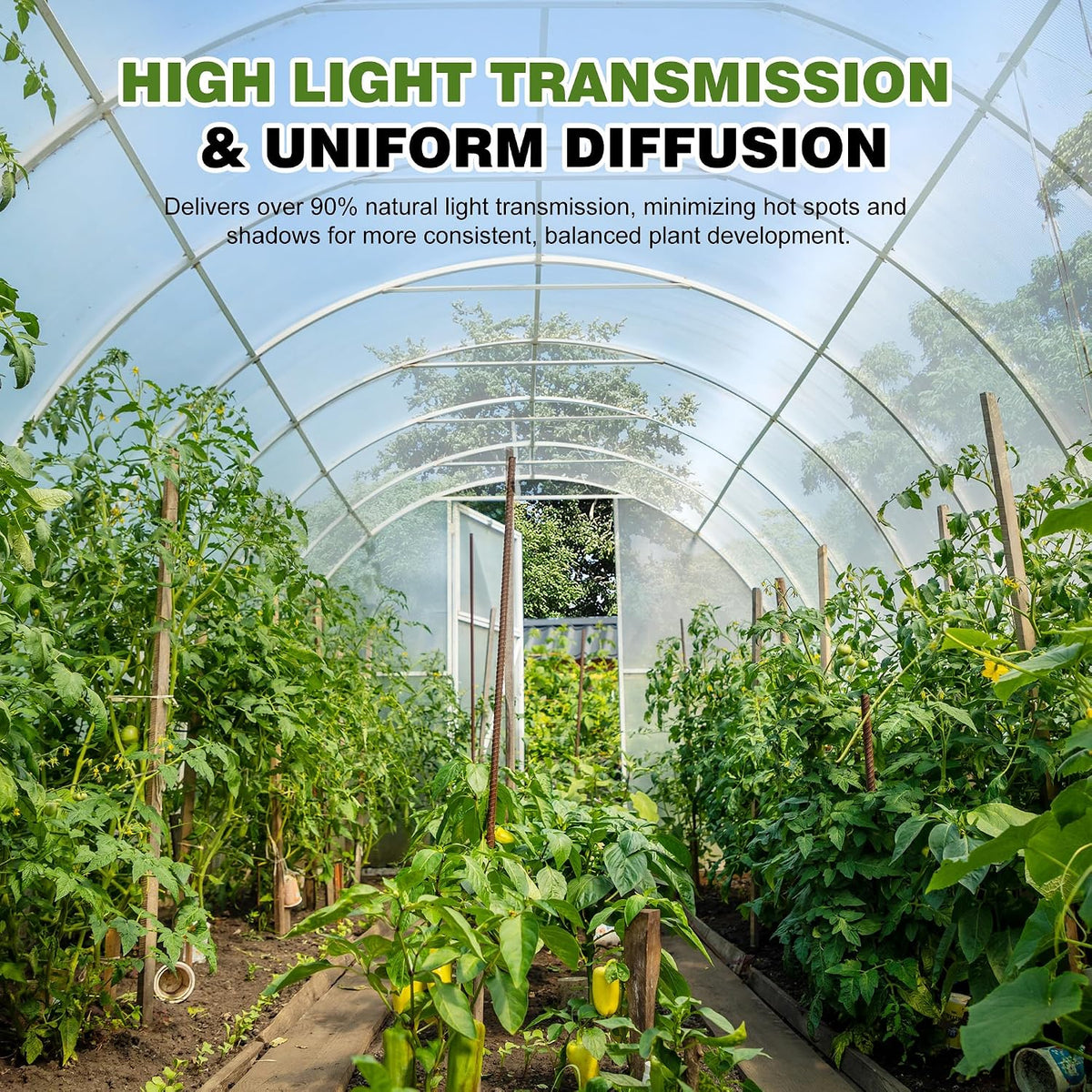 6 Mil Plastic Sheeting, 12x25 FT, Greenhouse Plastic,Heavy Duty | UV Resistant, Tear-Resistant,Waterproof