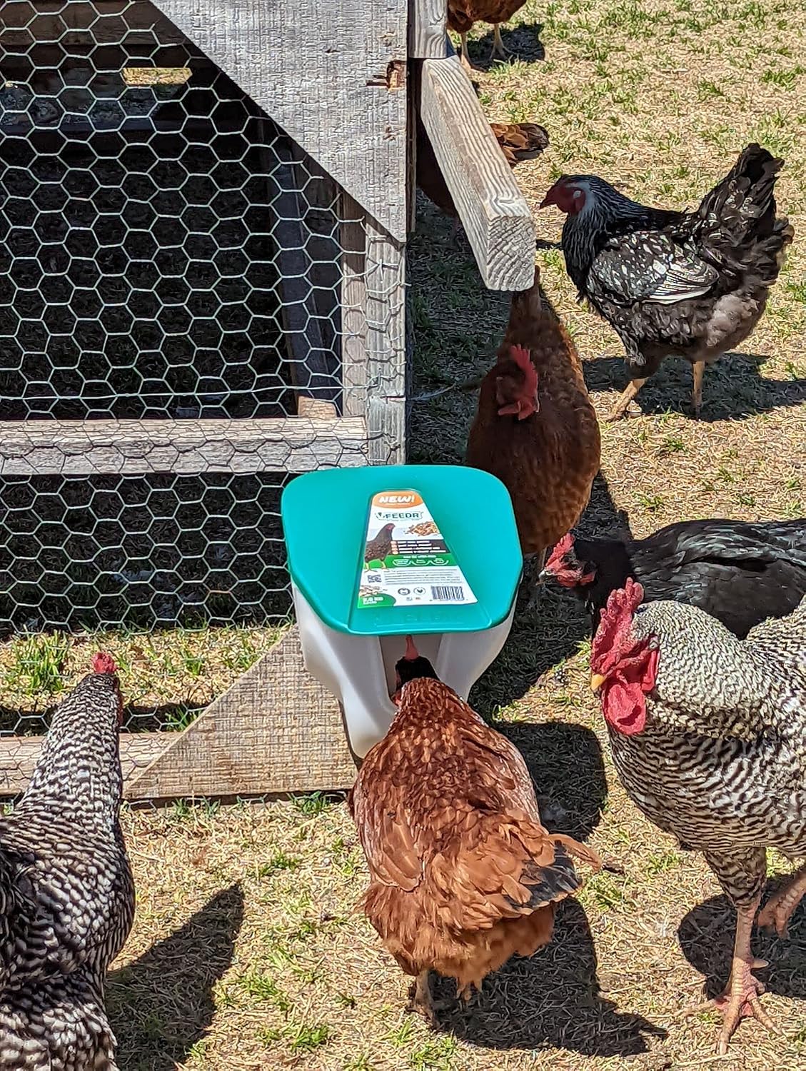 VFeedr No Waste Hanging Poultry Feeder 5-lbs