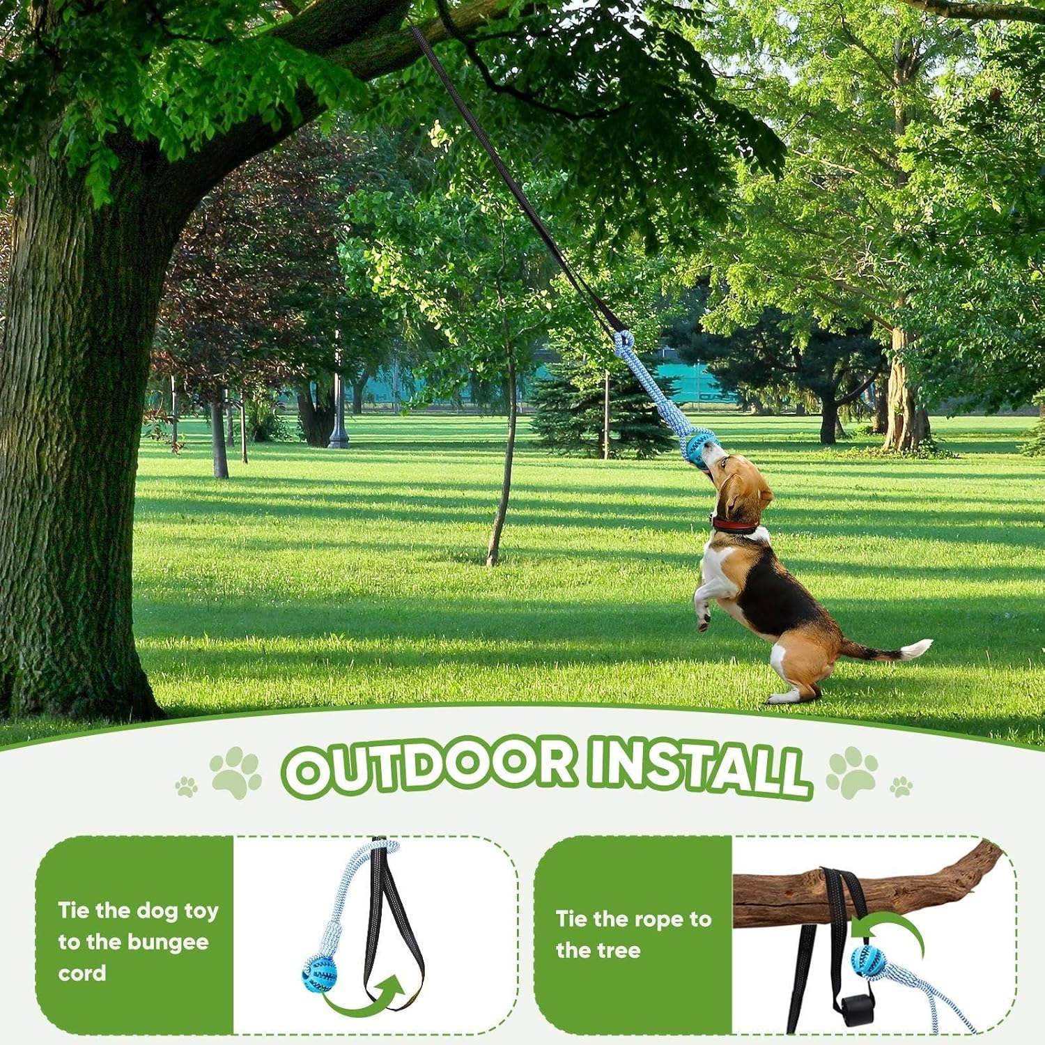 Dog Bungee Toy for Small/Medium Dogs,Interactive Dog Tug of War Toys Set with Tether, Rope and Ball, Tree Hanging