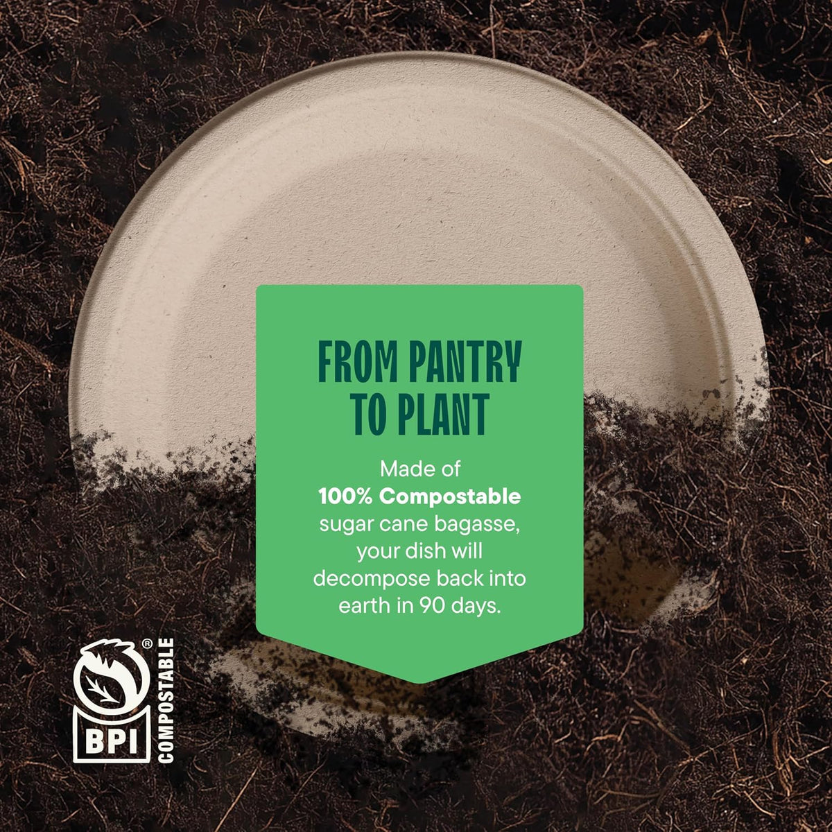 100% Compostable Paper Plates, Heavy Duty Disposable Plates [125-Pack] 9 Inch Plates - Eco-Friendly, Biodegradable