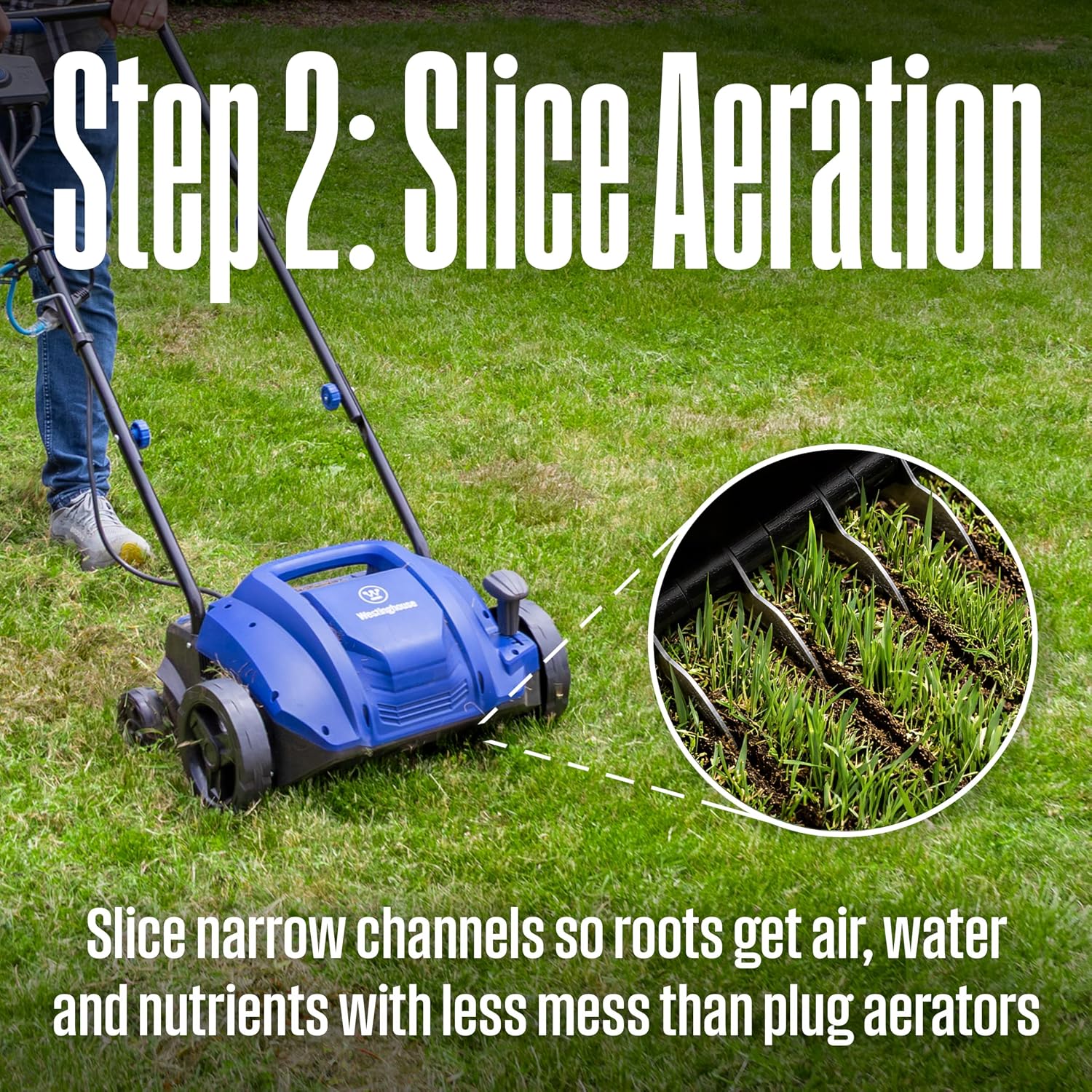 13" 12-Amp 2-in-1 Electric Dethatcher and Scarifier with Collection Bag