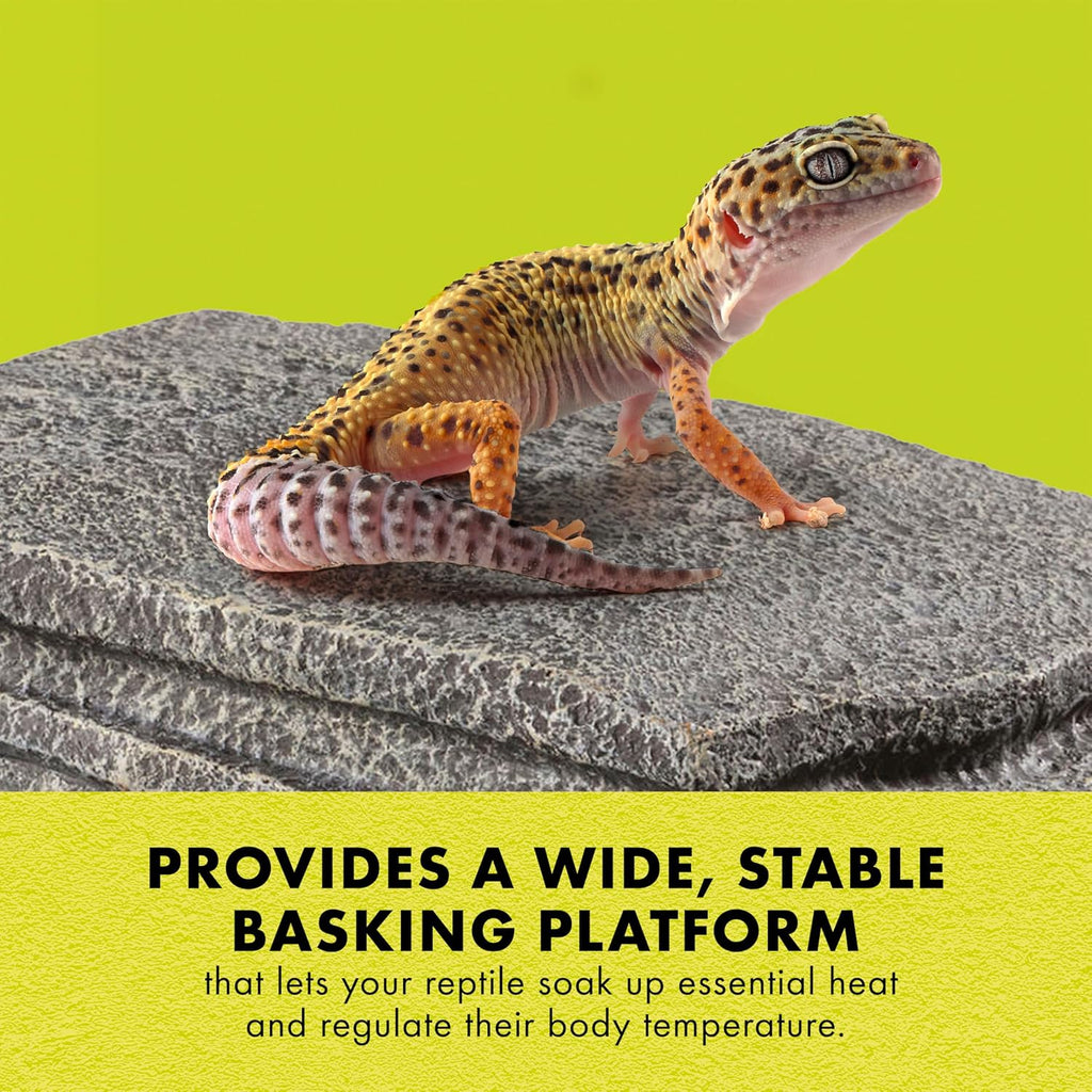 Herp Hotel Naturalistic Hide, Bearded Dragon Basking Platform