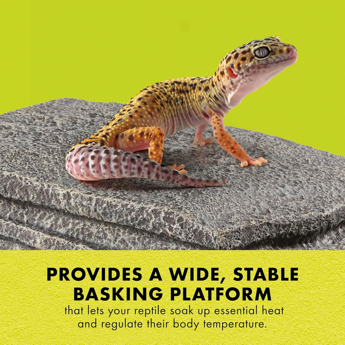 Herp Hotel Naturalistic Hide, Bearded Dragon Basking Platform