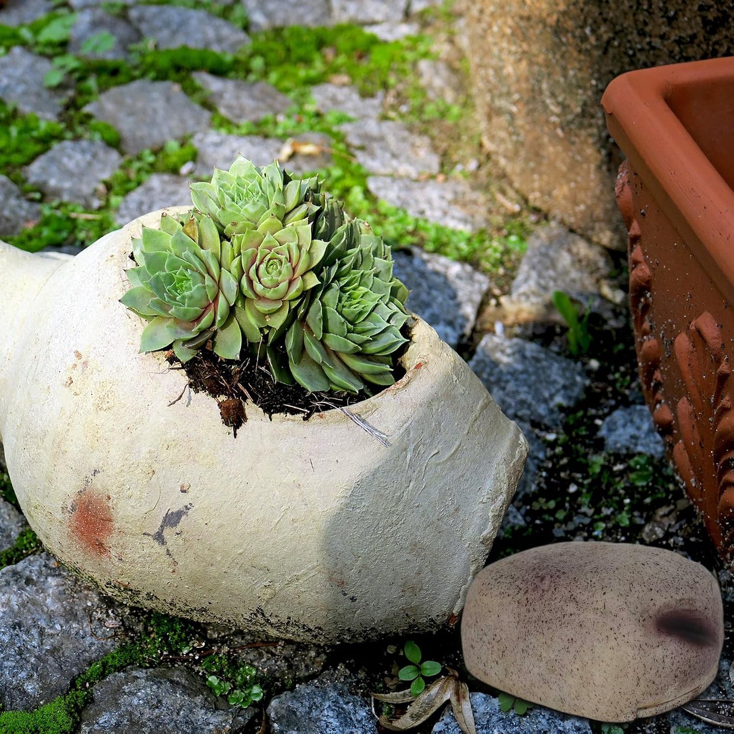 Hide A Key Outside Key Lock Box with Code Outdoor Large Size Fake Rock Key Hiders Holder Containers secret