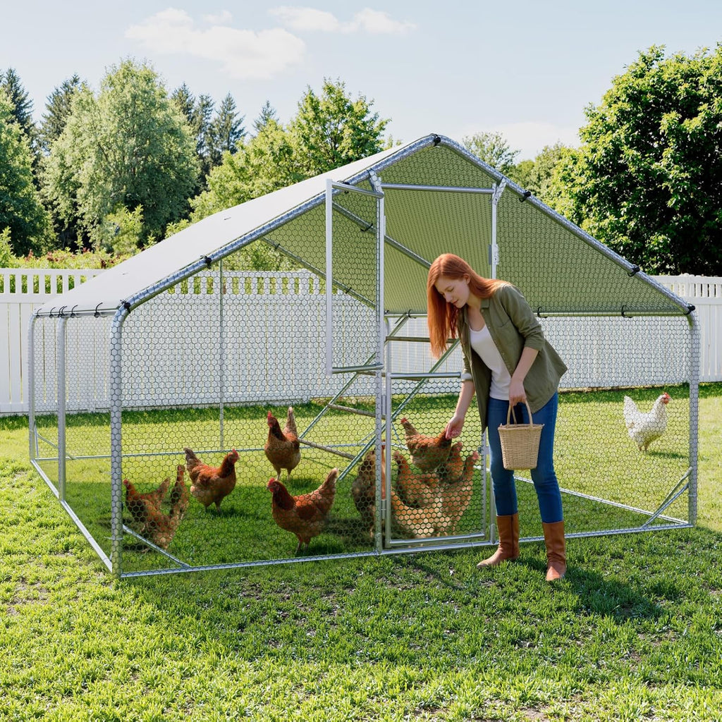 Large Metal Chicken Coop with Run, 10x13 FT Walk in Chicken Pen with Feeding Door, Secure Lock, Heavy Duty Poultry