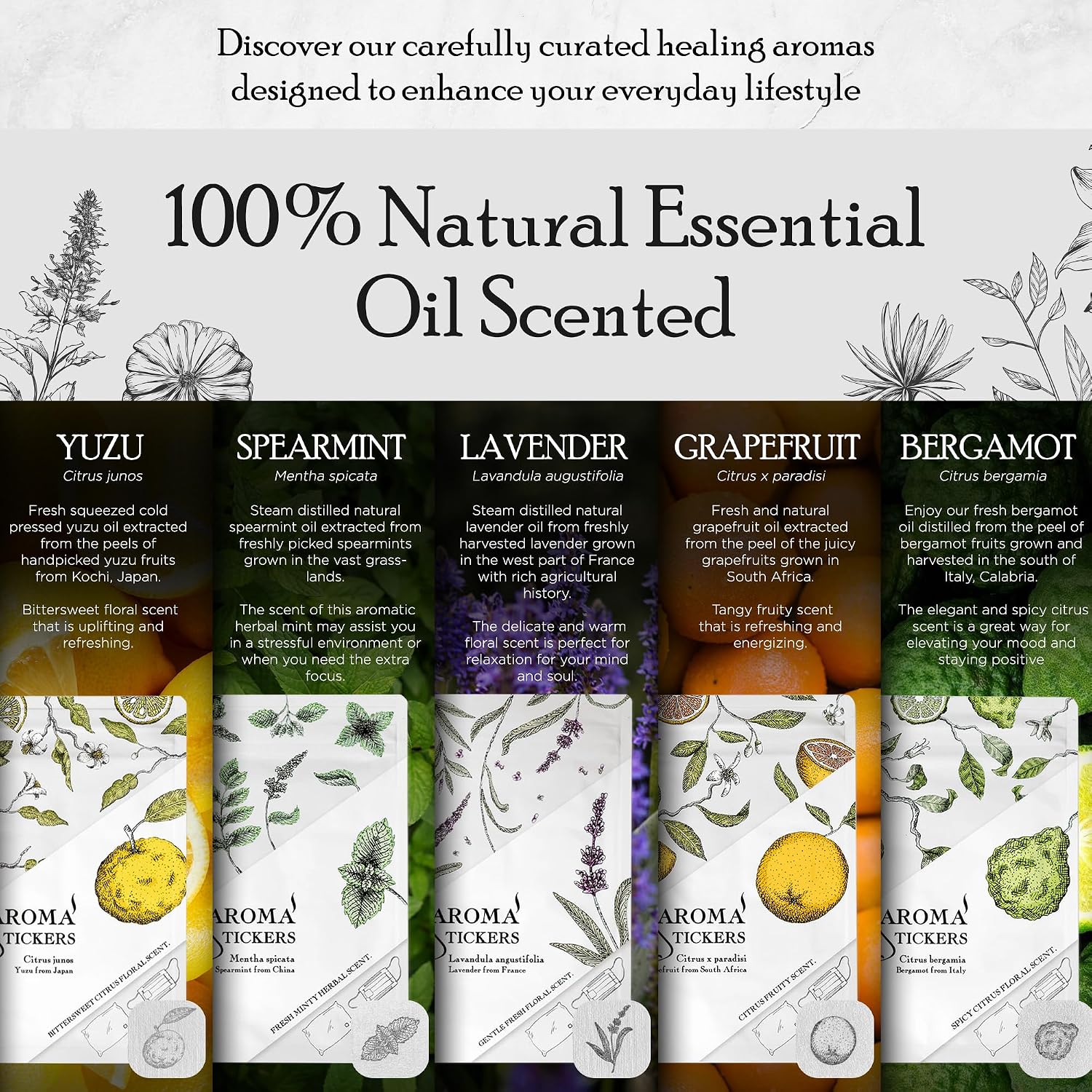 (Spearmint, Pack of 1) - 100% Natural Essential Oil Scented Mask Stickers for Face Mask & Pillow (12 Stickers/pc)