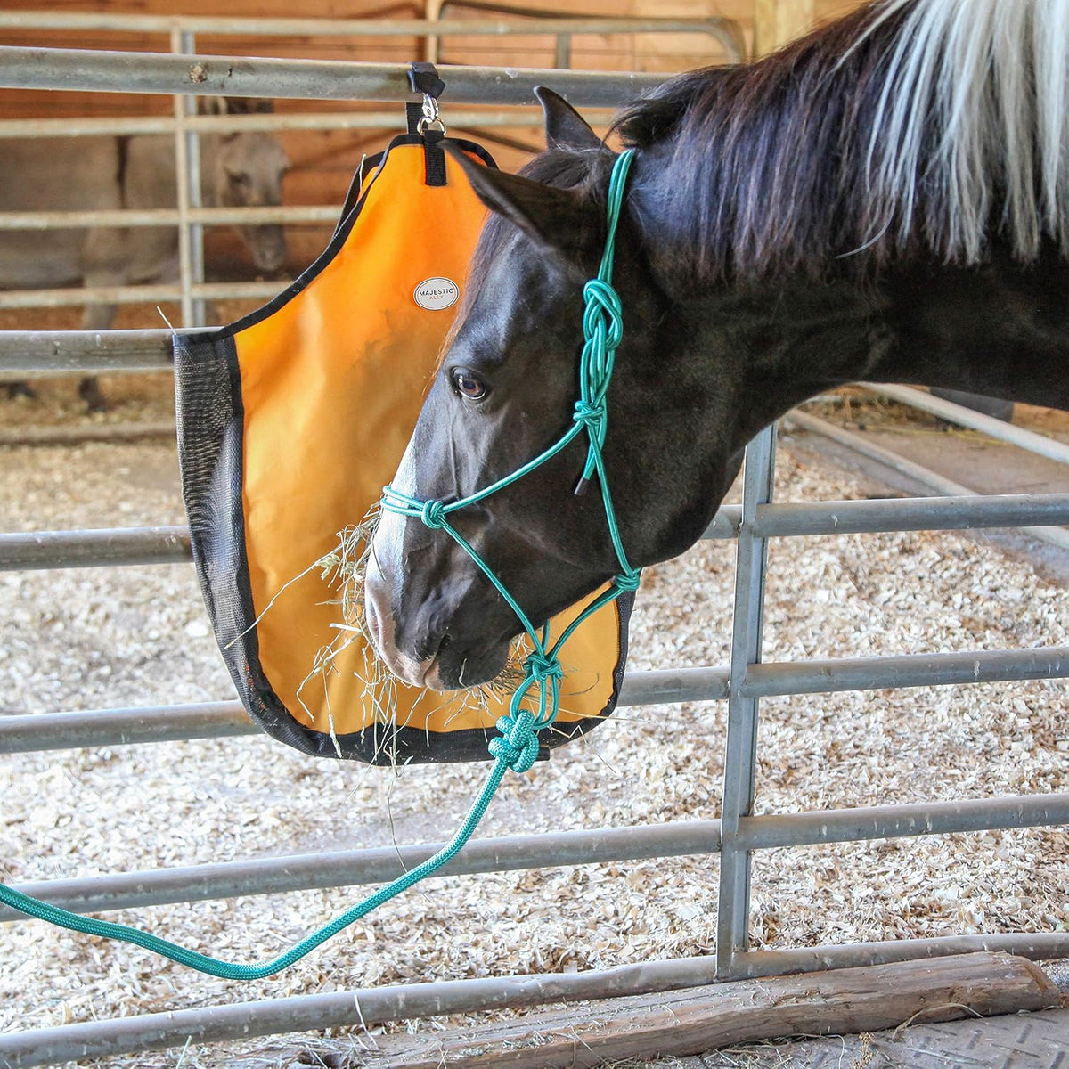 1/4" Rope 4 Knot Stiff Polyester Training Halter with 10’ Matching Lead Rope for Horses – Full (Black, Full)