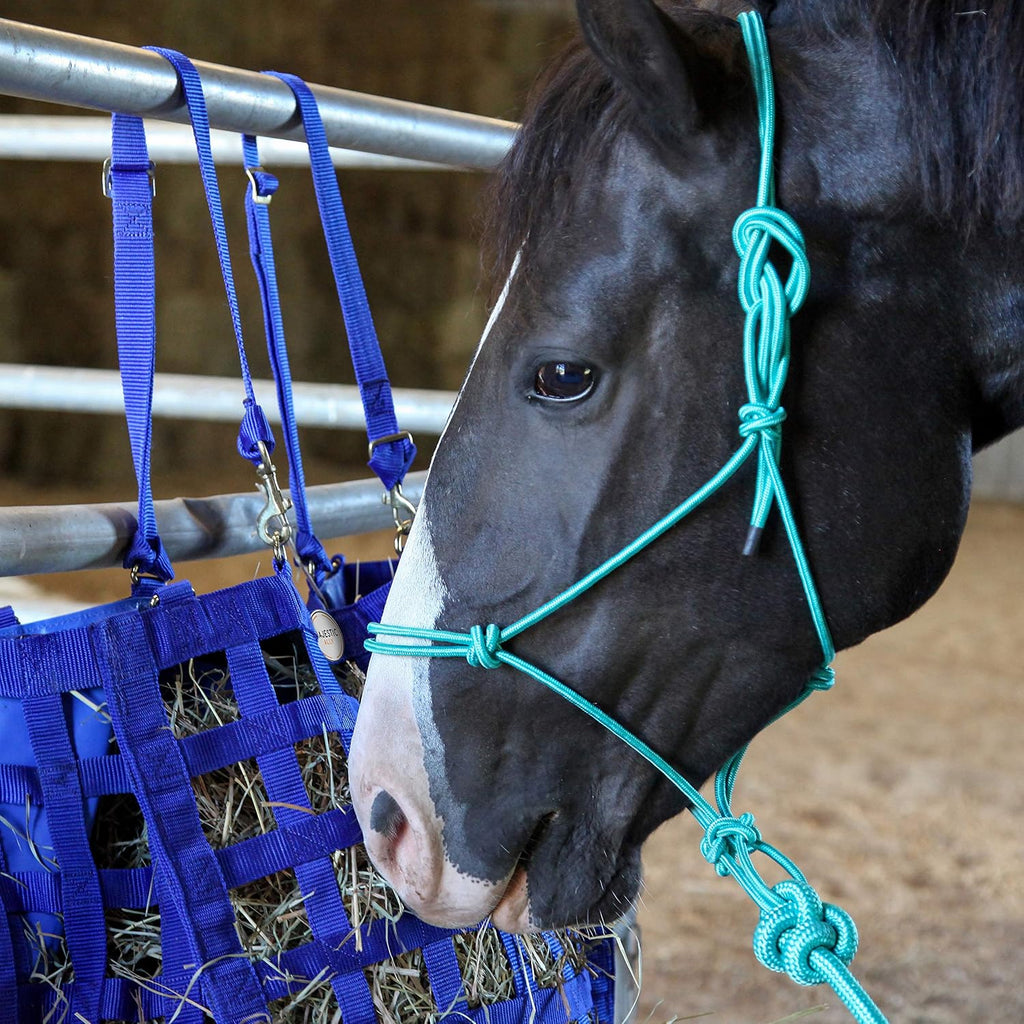 1/4" Rope 4 Knot Stiff Polyester Training Halter with 10’ Matching Lead Rope for Horses – Full (Black, Full)