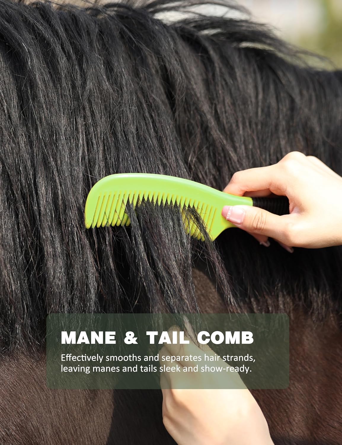 8-piece Horse Grooming Kit, Complete Horse Brush Set