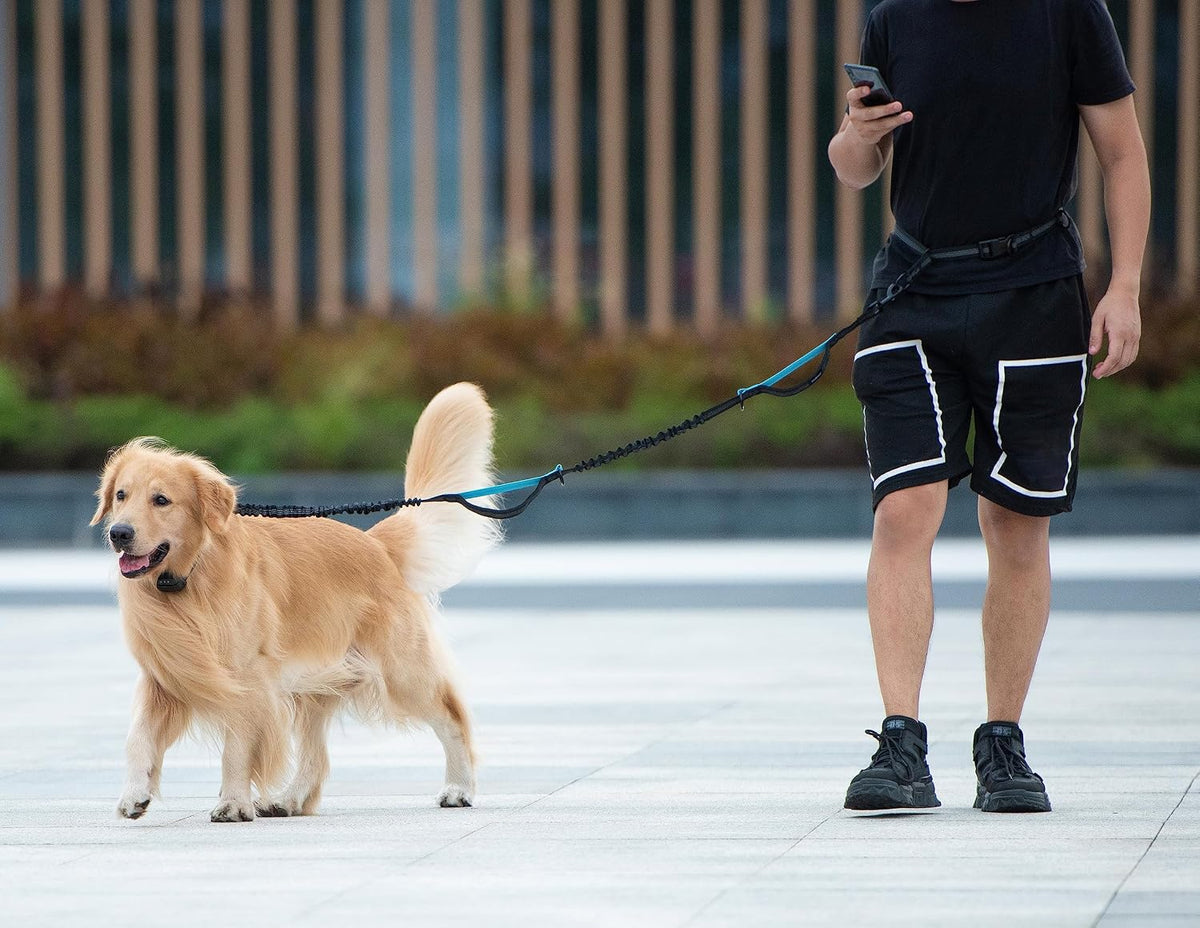 Retractable Hands Free Dog Leash, Medium/Large, 25-150 lbs, Black