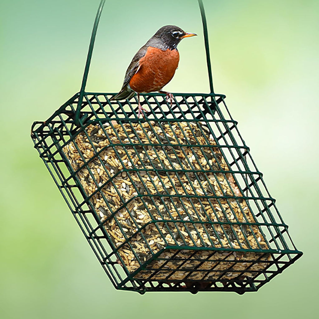 Wild Bird Seed & Mealworm Seed Cake Food For Bluebirds, Chickadees, Woodpeckers and More, 1.4 Pound