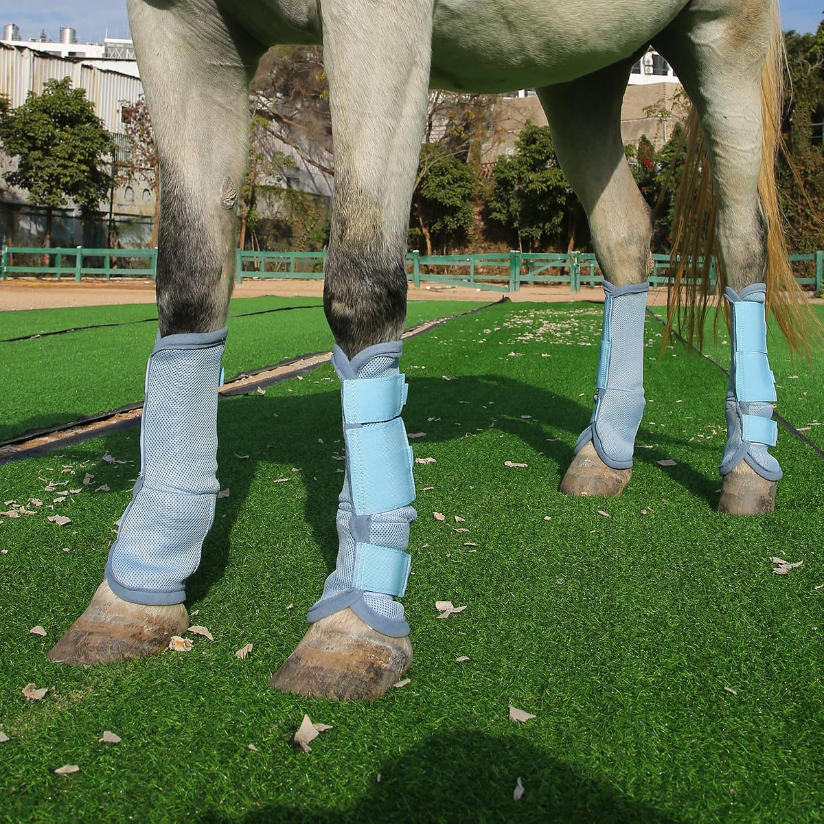 Horse Fly Boots, Mesh Fly Boots for Horse Set of 4, Equine Leg Protection