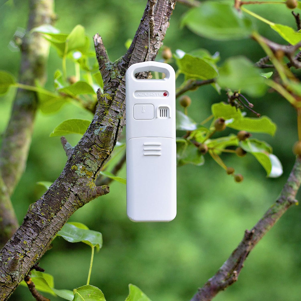 01089M Rain Gauge with Thermometer & Humidity