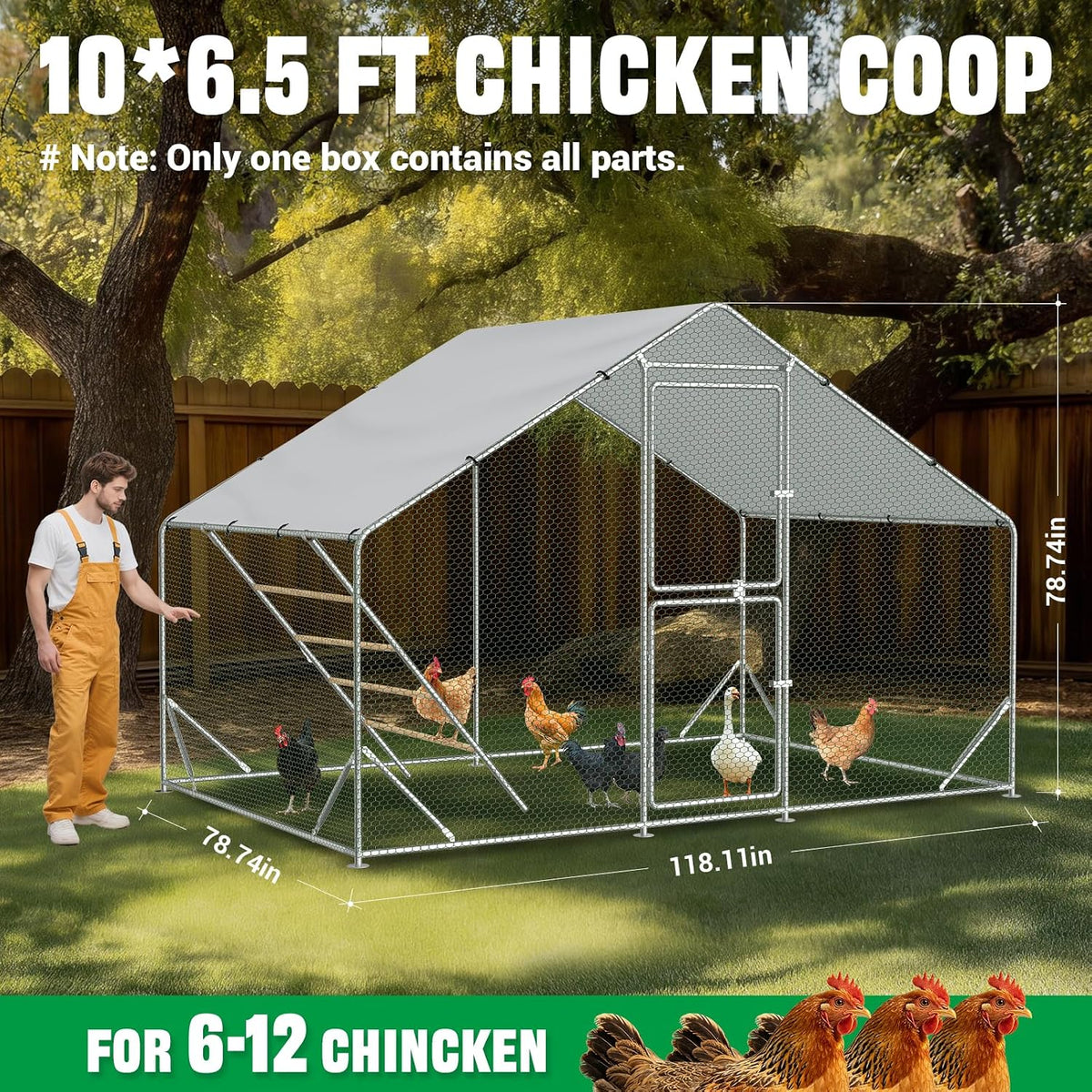 Chicken Runs for Yard with Cover, Roosting Perches & Lock,10x6.5x6.5
