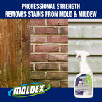 Mold & Mildew Surface Stain Cleaner with Bleach, 32 oz