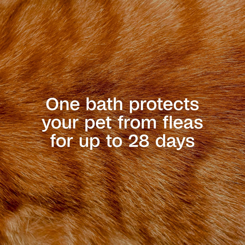 Plus Flea & Tick Foaming Shampoo & Wash, Cat Flea Shampoo, 10 oz