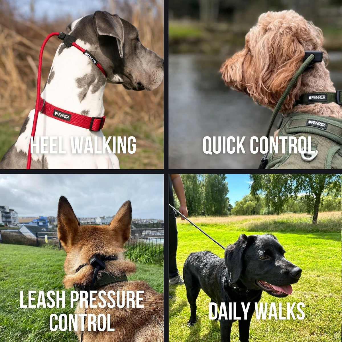 Slip Leash 1.4m Professional Dog Training Lead to Stop Pulling, Perfect for Walks, Easy to Use, Spring Loaded