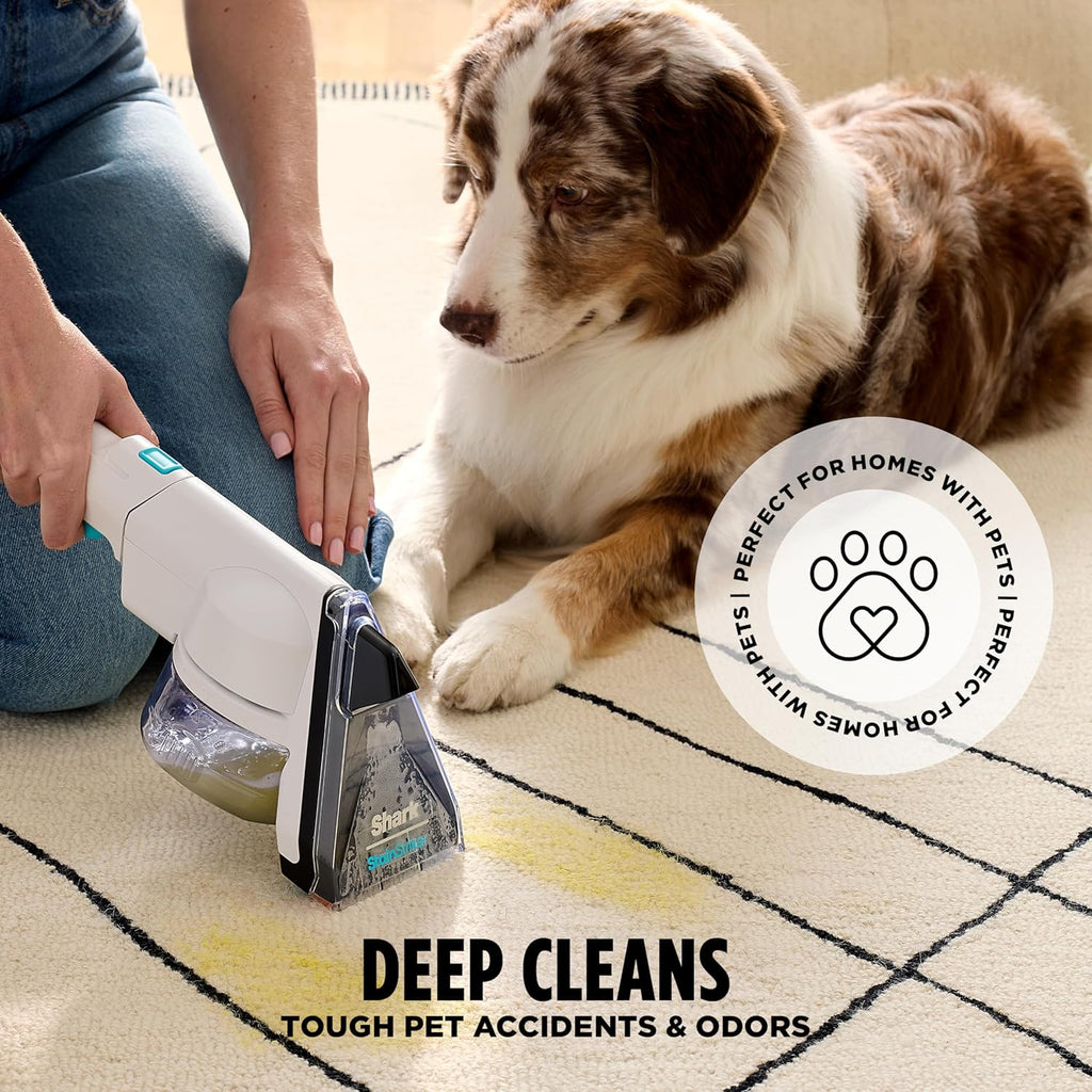 CarpetXpert StainStriker Carpet & Upholstery Cleaner, 3 Tools, EX201 | For Carpet, Upholstery & Rugs, Dirt, Tough