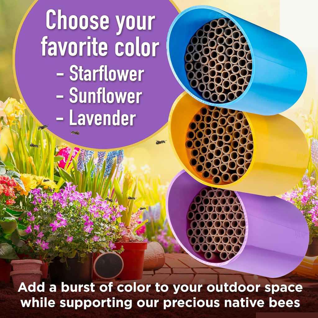 Color Splash Mason Bee House - Vibrant & Strong Waterproof Bee Hotel & Insect Habitat - Mason Bee Tubes Filled Bee