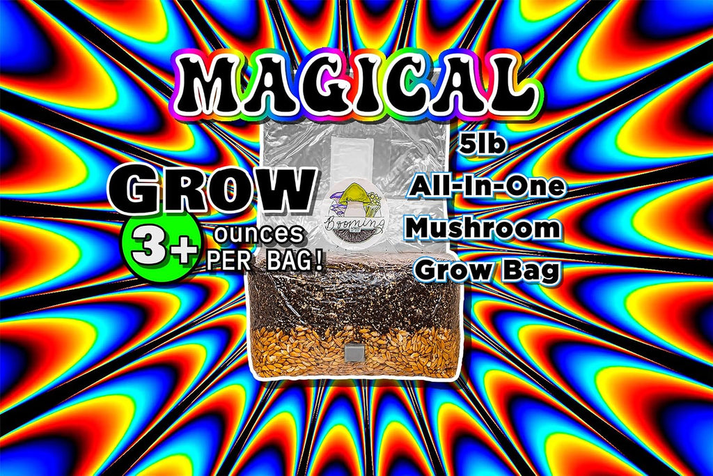 The Magical 5lb All-in-One Mushroom Grow Bag | Mushroom Grow Kit | Harvest Your own Happiness | Discover the Magic of