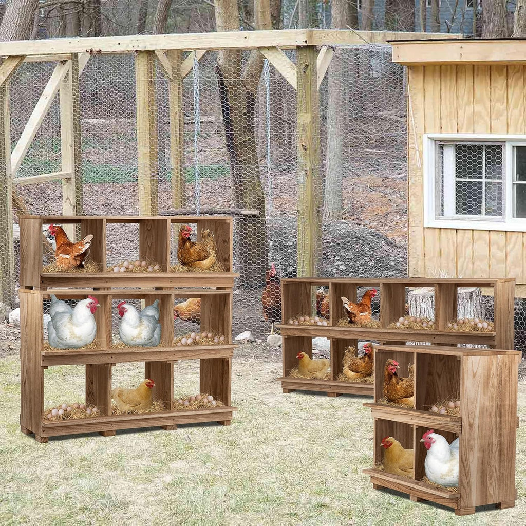 Nesting Boxes for Chickens 8 Compartment