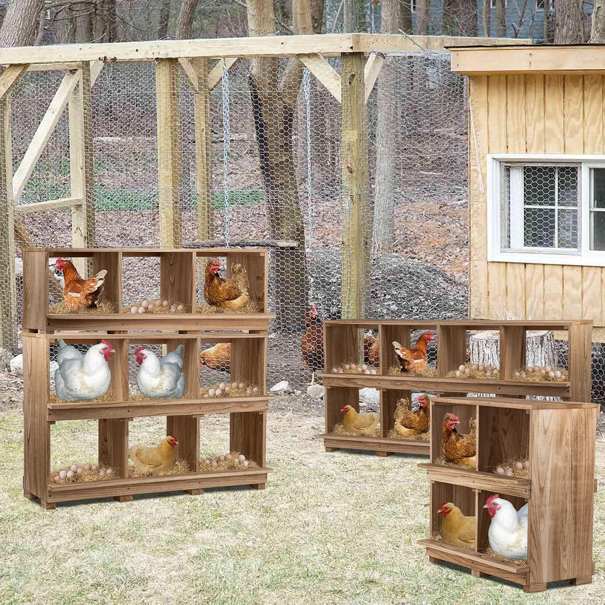 Nesting Boxes for Chickens 8 Compartment