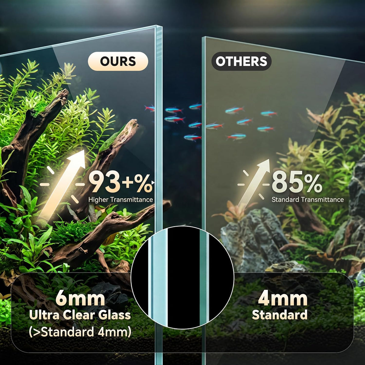 10 Gallon Small Fish Tank Glass Aquarium Complete Kit for Betta Fish