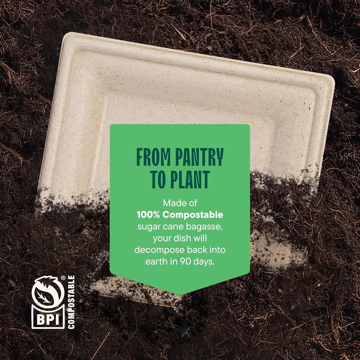 100% Compostable Square Paper Plates - 10 Inch [50-Pack] Heavy Duty