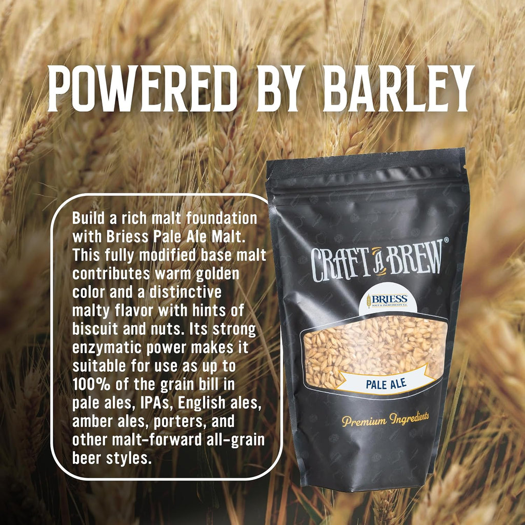 Briess Pale Ale Malt Whole Grain | Unmilled Base Malt for Home Brewing | Rich Malt Flavor for Ales | Brewing Grain |