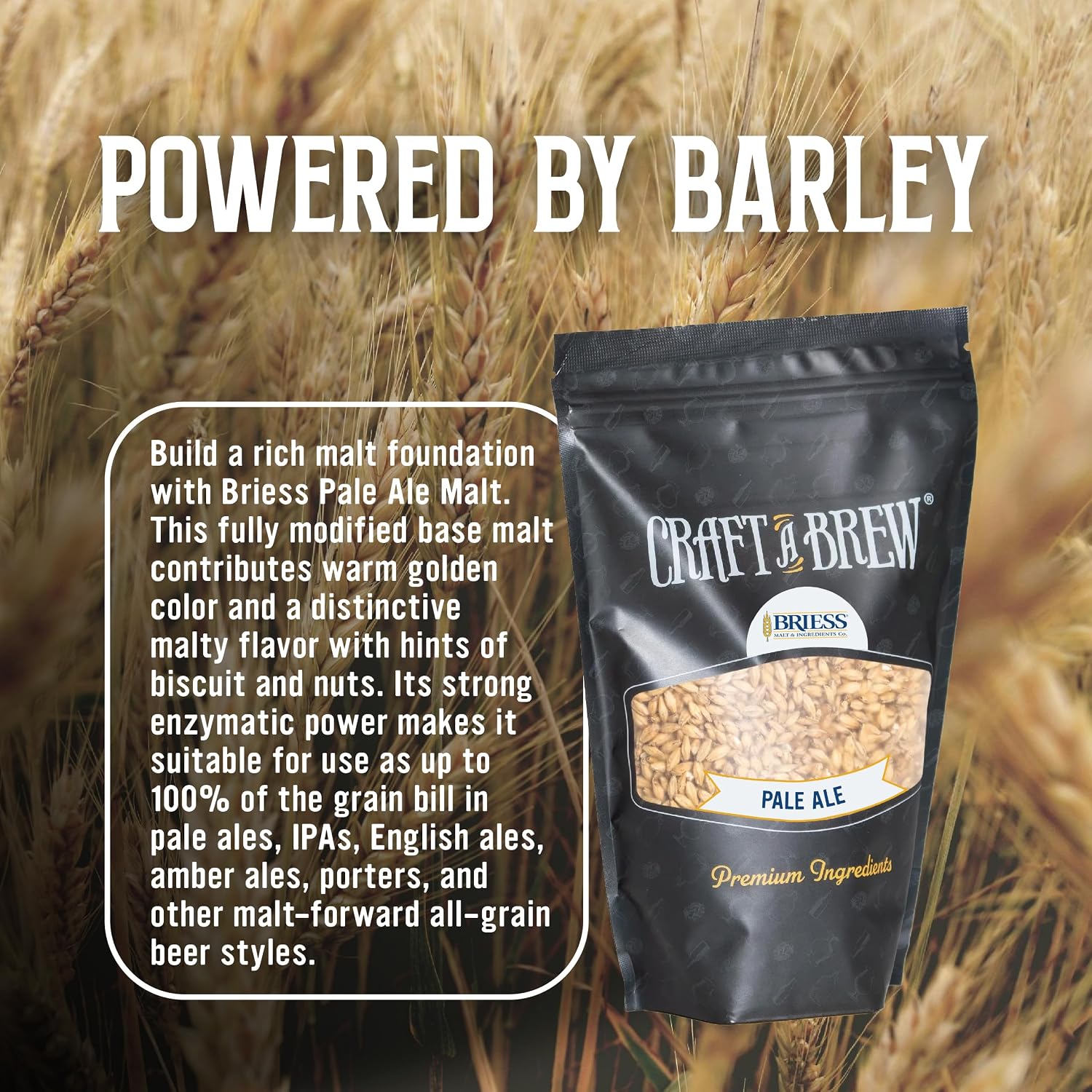Briess Pale Ale Malt Whole Grain | Unmilled Base Malt for Home Brewing | Rich Malt Flavor for Ales | Brewing Grain |