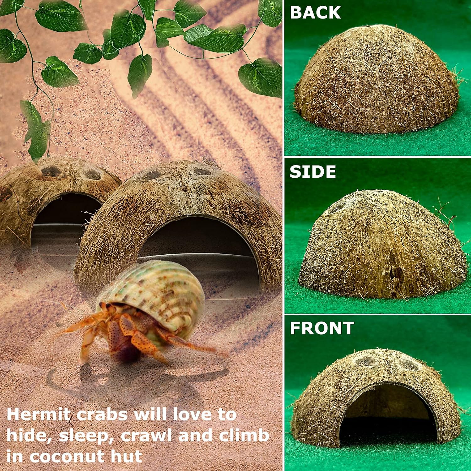 Reptile Hideouts Natural Coconut Shells Hut Hermit Crab Climbing Toys Gecko Hide Cave Lizard Habitat Decor Plant