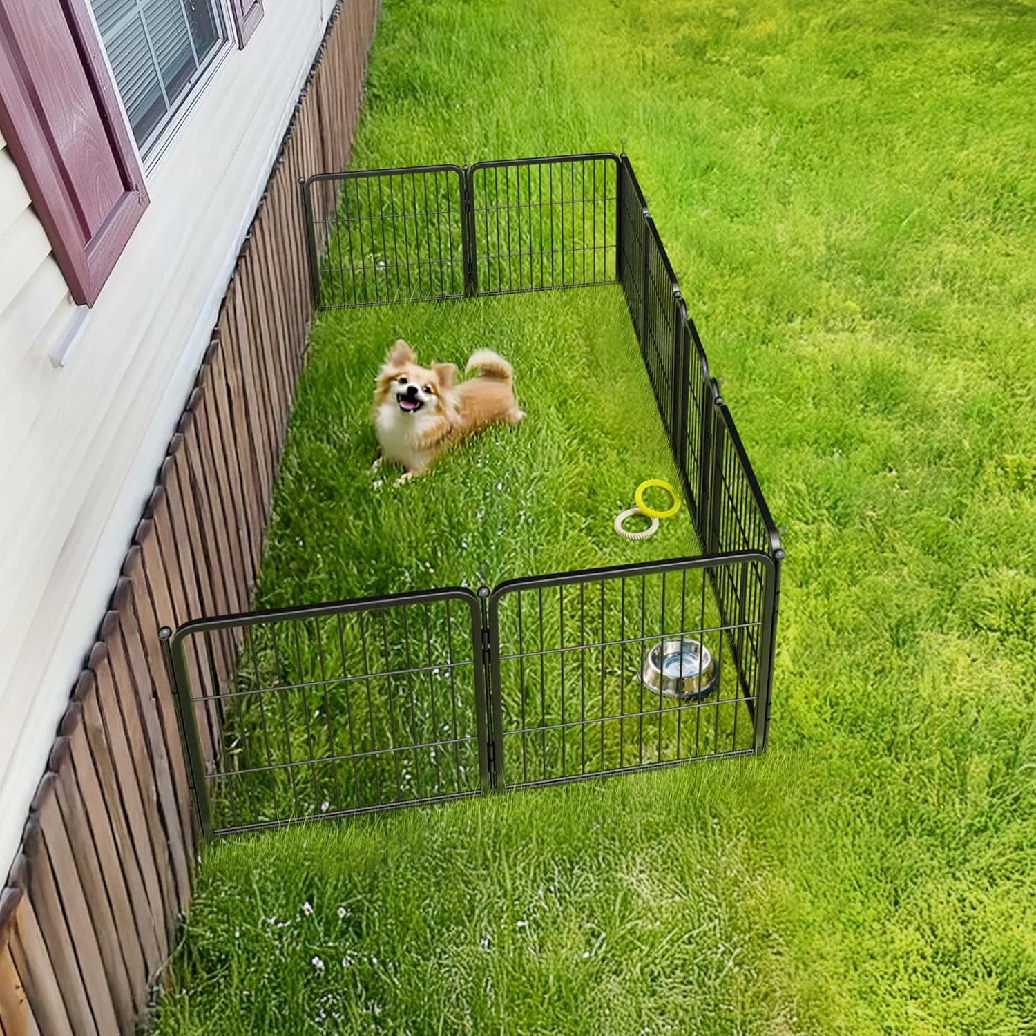 Rollick Unleashed Dog Playpen for Indoor, Yard, RV Camping, 24 inch 8 Panels for Small and Puppy Dogs, Black│Patented