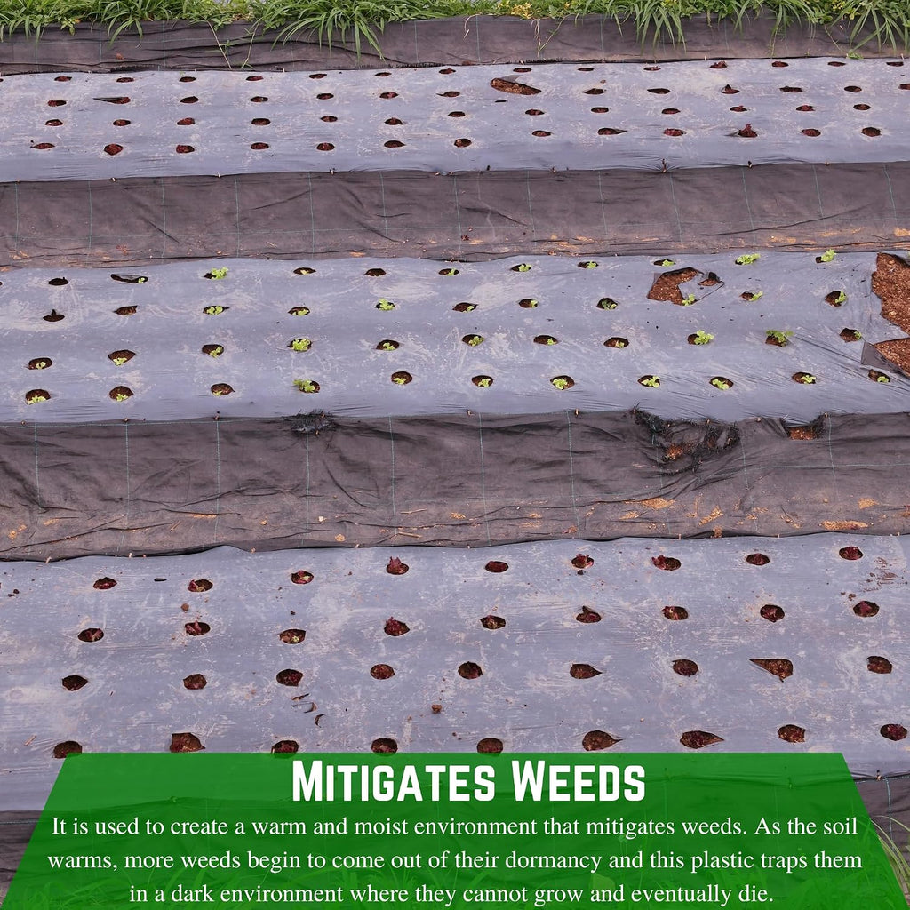 Weed Control 6 Mil Black Plastic Sheeting - Heavy Duty Weed Barrier Landscape Fabric for Outdoor Gardens, Non Woven