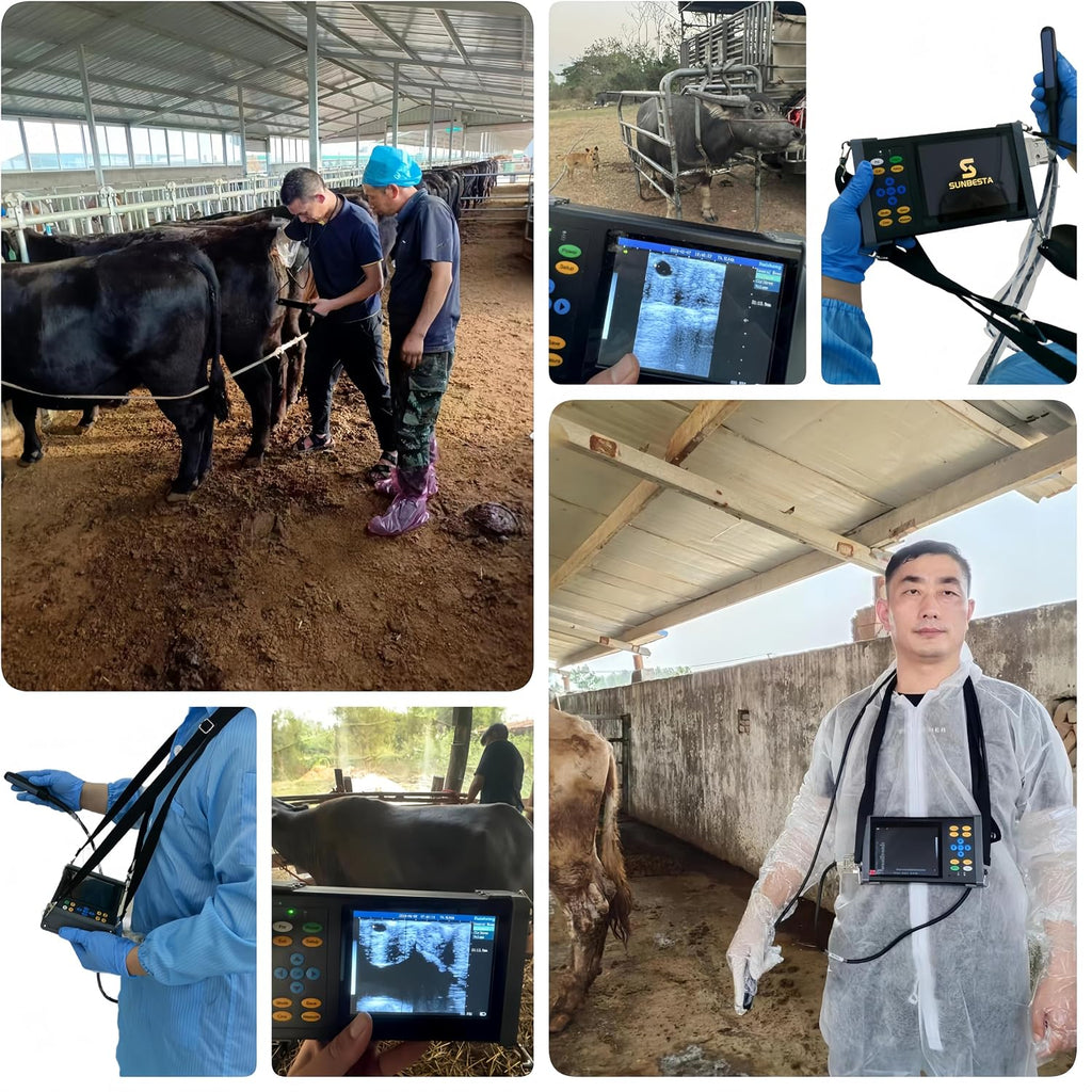A20 Veterinary Ultrasound Machine for Pregnancy, Handheld Ultrasound Scanner with 6.5 MHz Rectal Linear Probe for