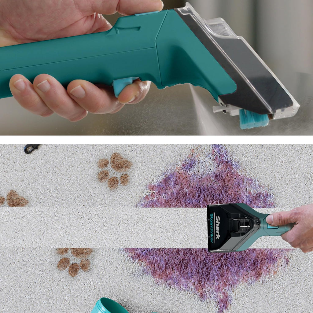 R-EX205 CarpetXpert with Stainstriker Deep Carpet Cleaner, Teal - Certified Refurbished