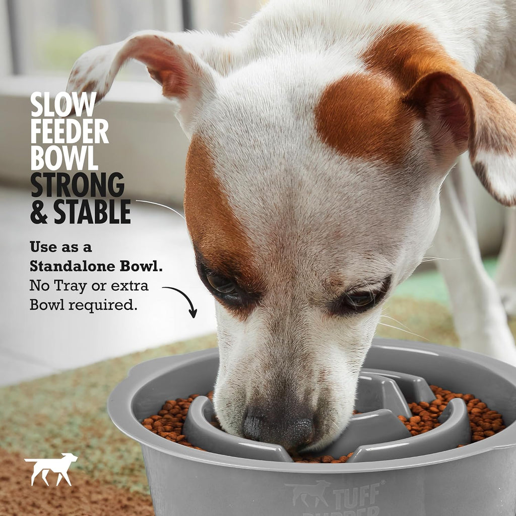 Slow Feeder Insert Bowl | Puzzle Maze Slows Down Eating | Elevated Feeder Tray Bowls | Standalone Dog Bowl | Pet