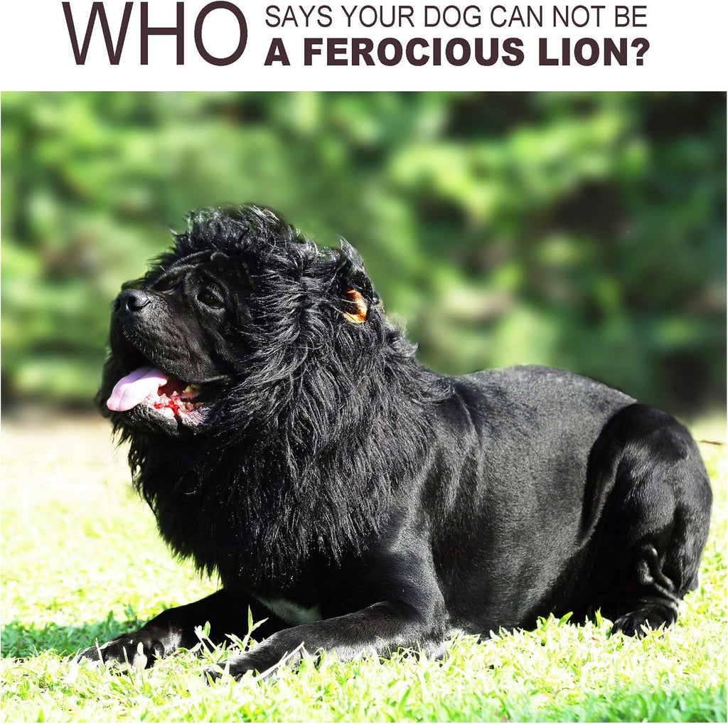 Lion Mane Wig for Dogs with Ears, Funny Pet Costumes for Halloween Christmas