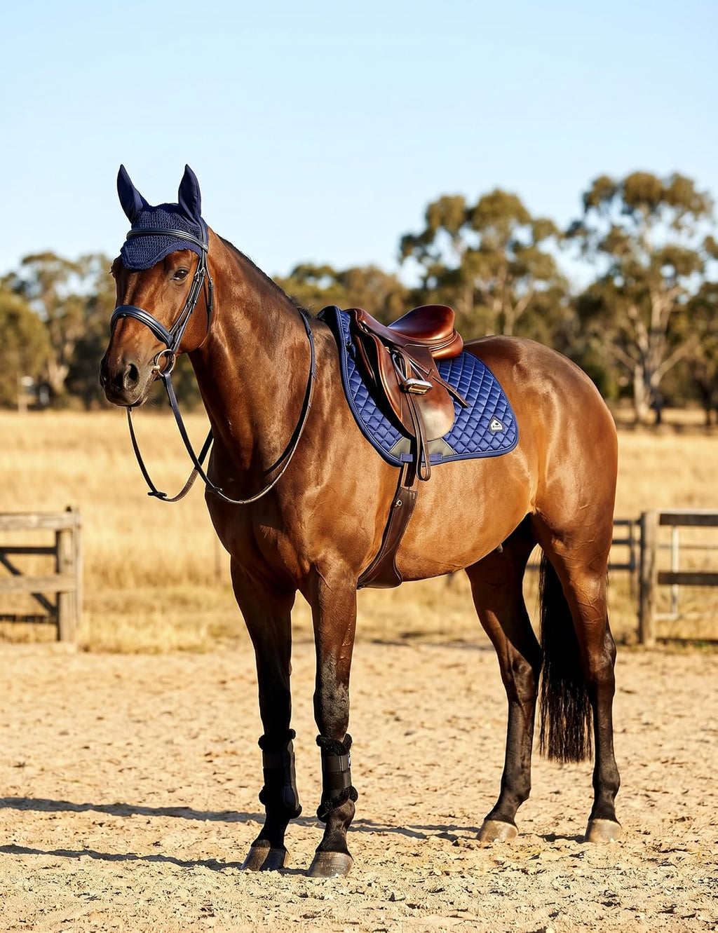 Saddle Pads for Horses Breathable English Half Pad Shock Absorbing