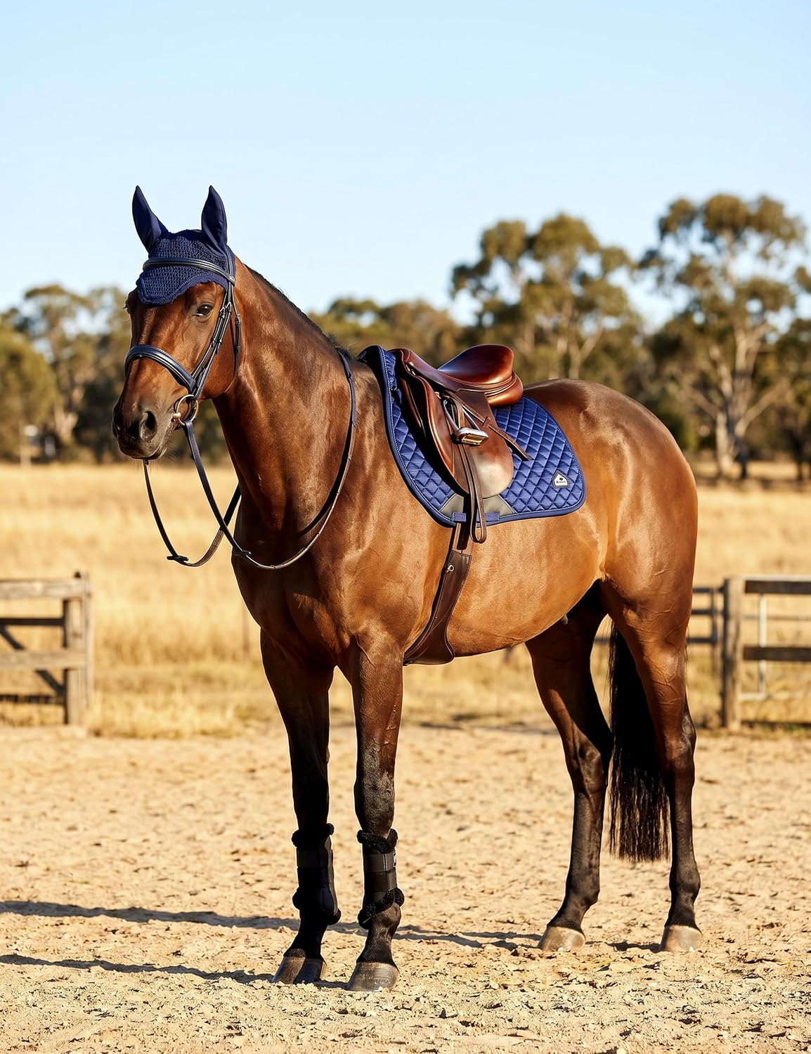 Saddle Pads for Horses Breathable English Half Pad Shock Absorbing