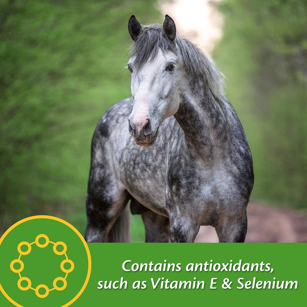 Vita Plus Balanced Multi-Vitamin & Mineral Horse Supplement, Vitamin Supplements, Provides Balanced Nutrition to