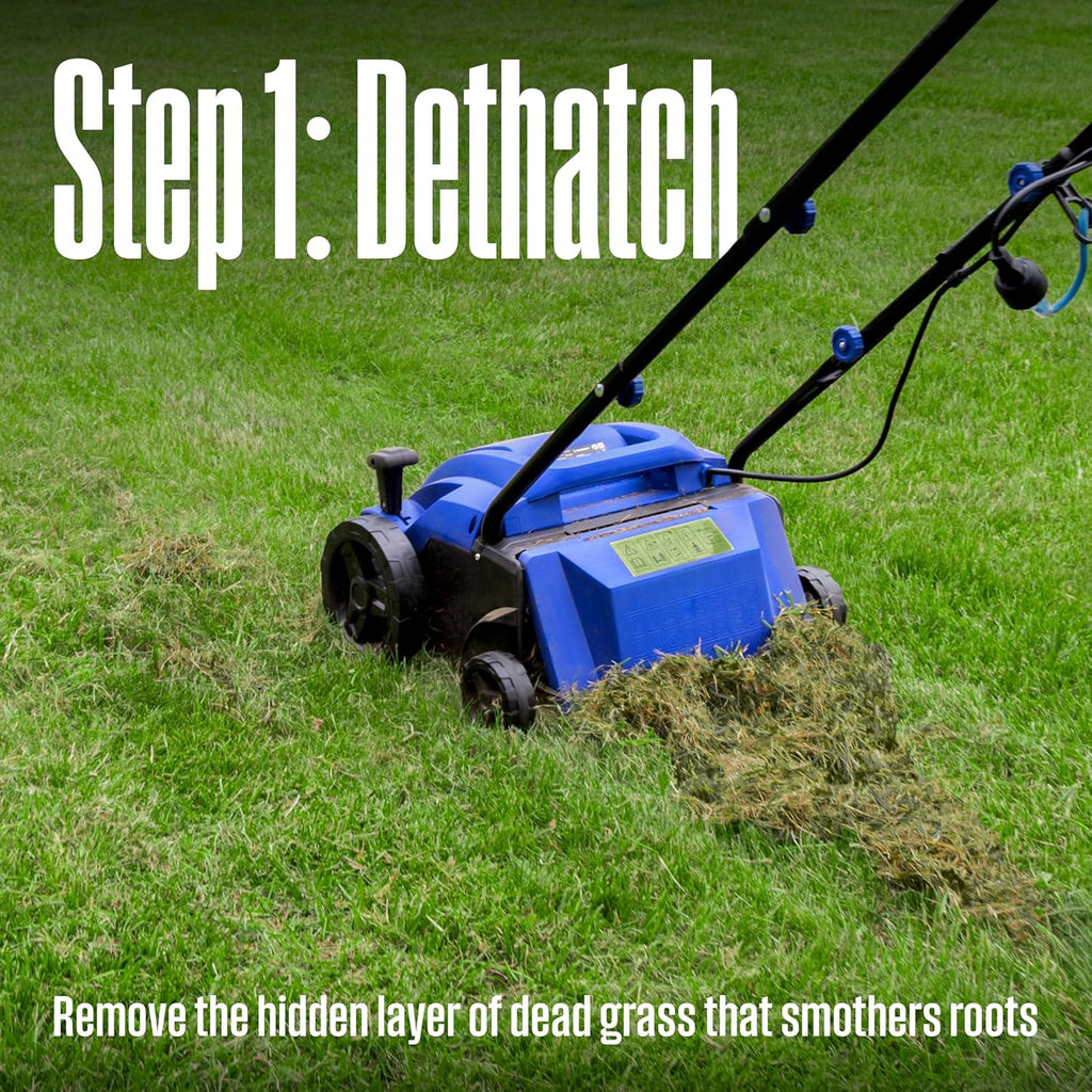13" 12-Amp 2-in-1 Electric Dethatcher and Scarifier with Collection Bag