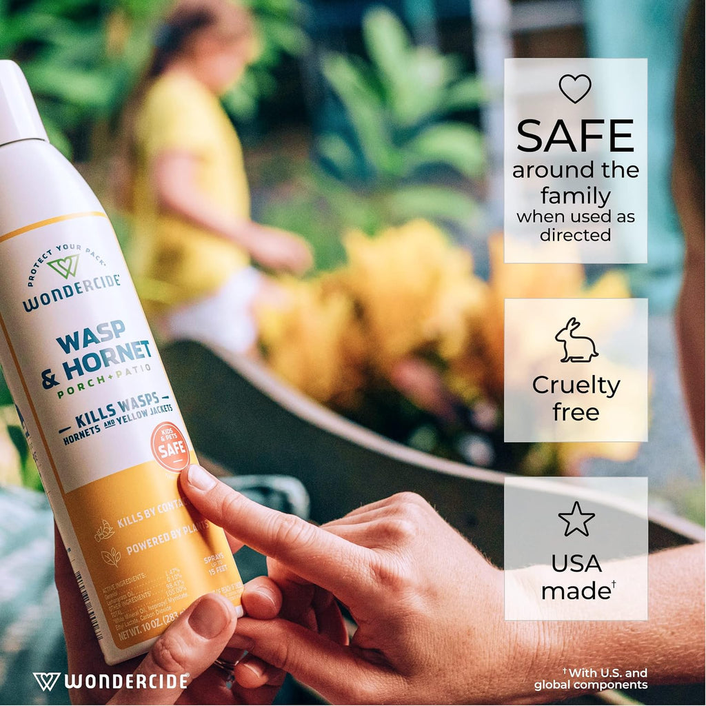 Wasp and Hornet Killer Aerosol Spray - 10 oz - 2 Pack | Kills Wasps, Hornets & Yellow Jackets - With Natural